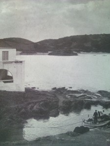 MollTur2